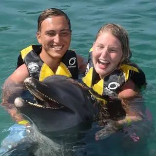 Rencontre avec un dauphin à Ocean World
