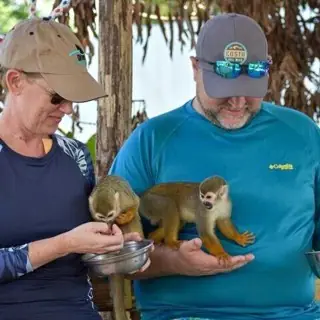 Visiteurs avec des petits singes